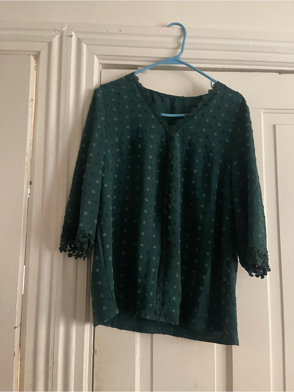 SHEIN Dark Green Swiss Dot Lace-Trim Blouse